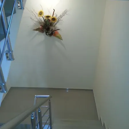 Guest house Real