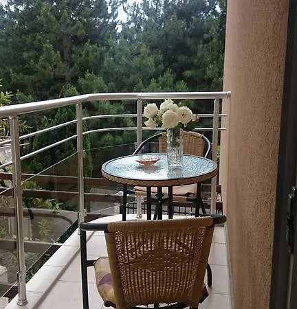 Guest house Real
